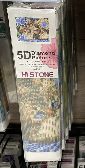 5D Diamond Picture / 20221125