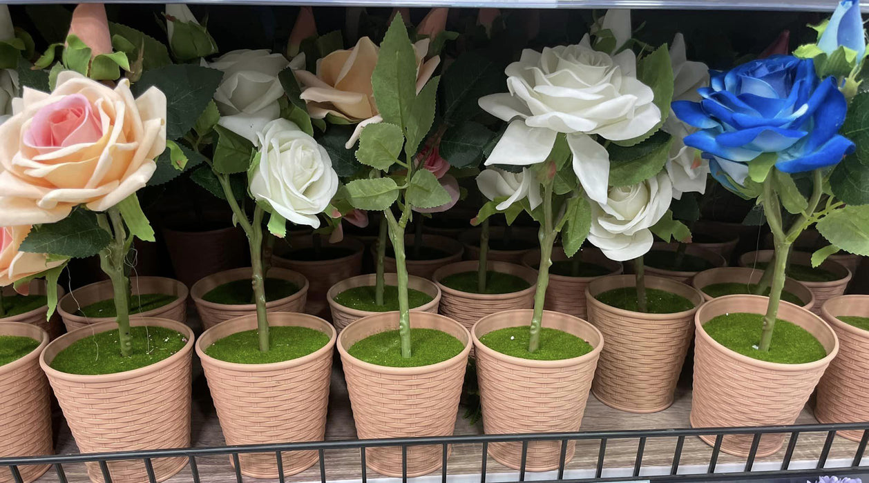 玫瑰塑料花 / 607-39-5