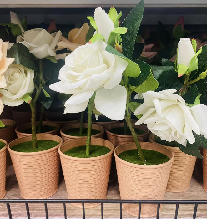 玫瑰塑料花盆 / 607-39-5