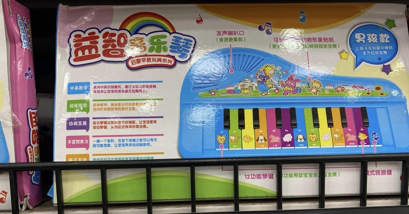 Electronic Piano / 1040535