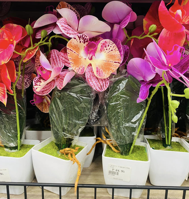塑料花盆 / 618-75-6