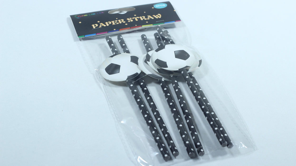 纸吸管6支 / SLXG-3