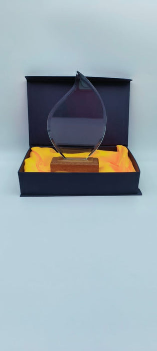 Glass Trophy 22cm / 1220311
