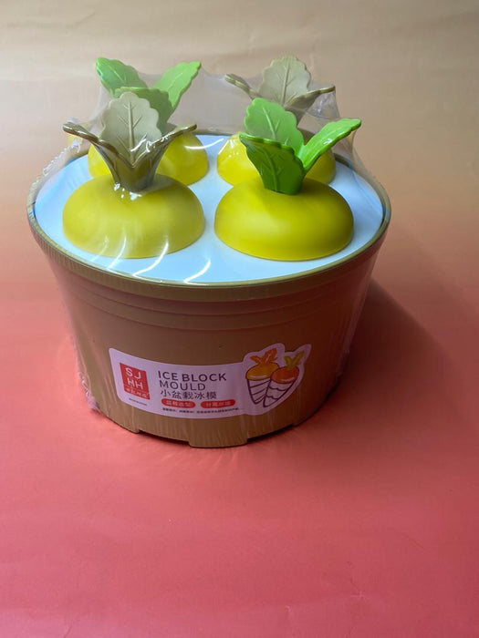 Ice Block Mould / SJ-0577 / 17122325