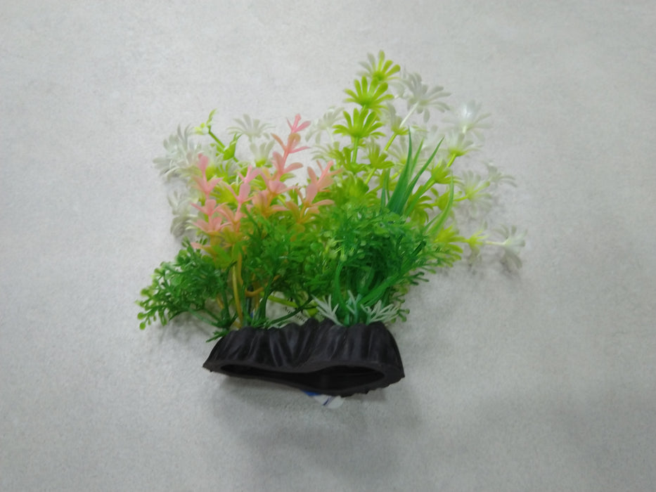 水族装饰植物/1200049