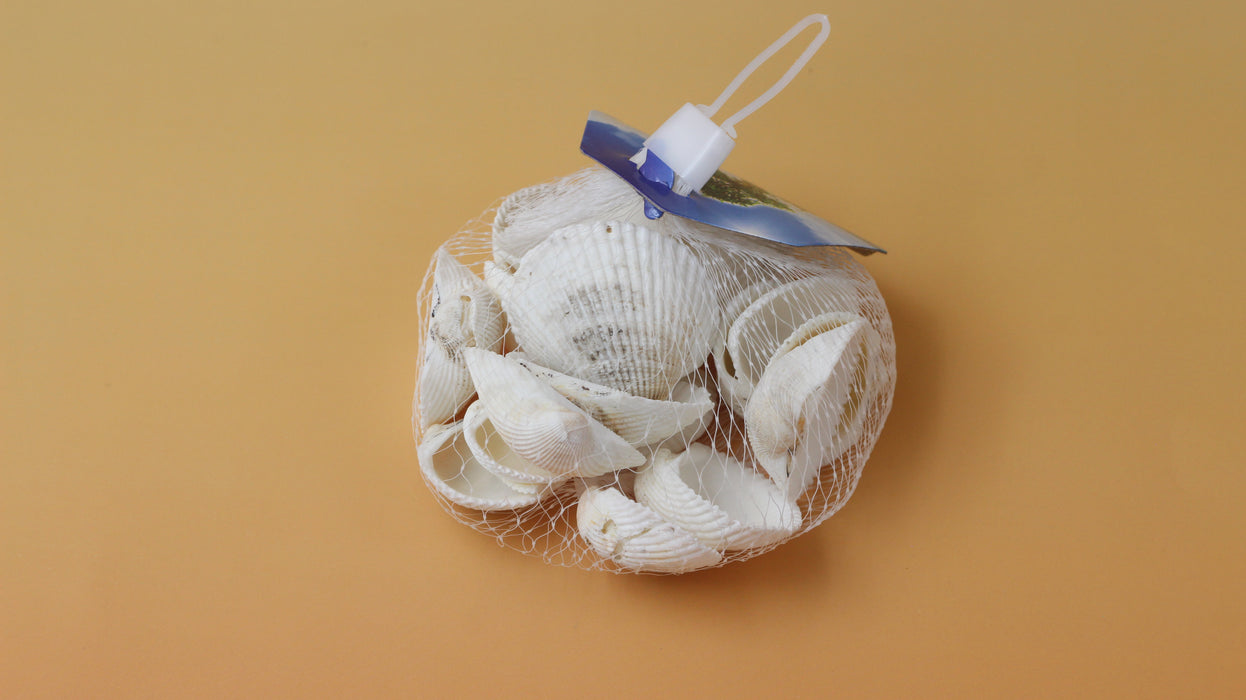 Hairy Clams / 11110003