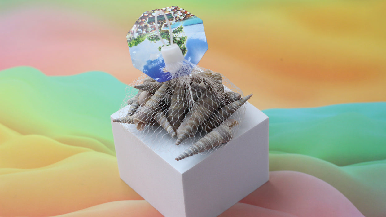 Oncomelania Decoration / 11110001