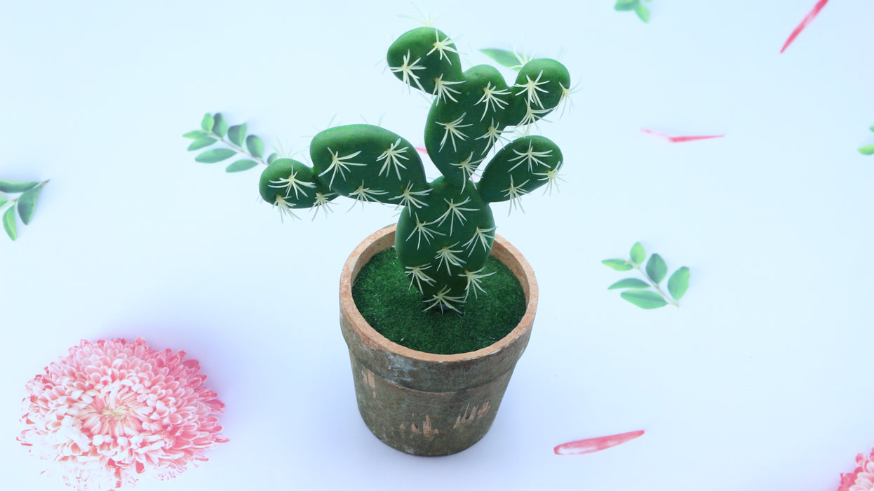 Cactus LY-0768-99 / 16090010