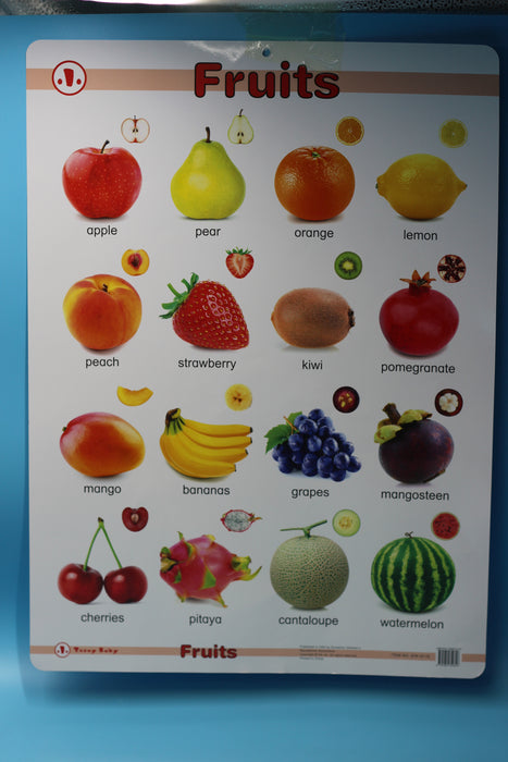 Fruit Charts / 978-911E