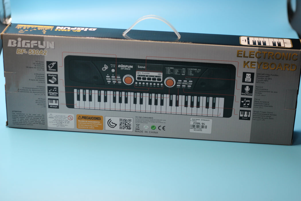 Electronic Keyboard / BF-530A21