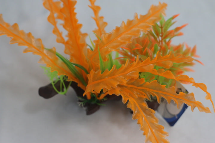 水族装饰植物 / 1200031