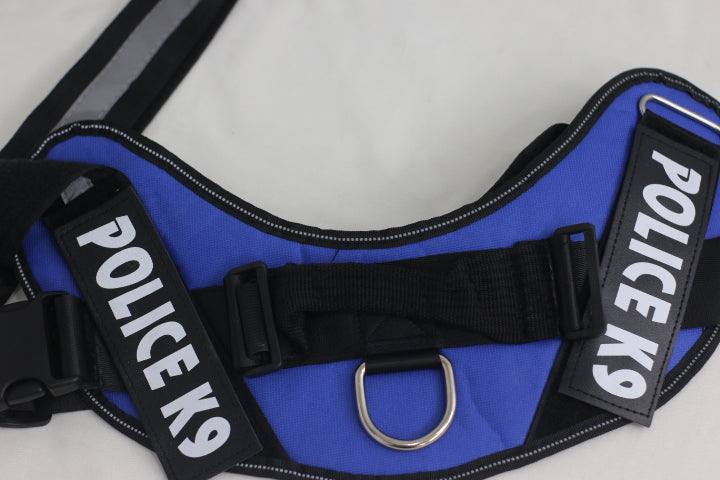 Leash / K9