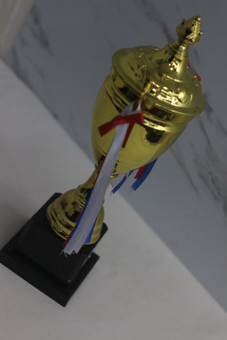 Trophy / 1180311