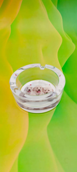 Round Ashtray / 1231384
