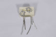Earrings / LH00181 - Besco Hyper