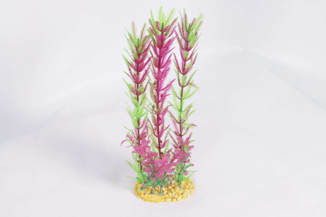Fish Tank Plants /1180507