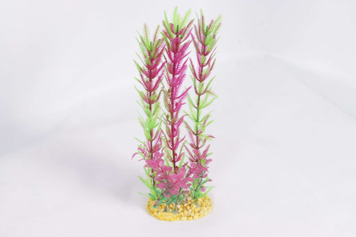 Fish Tank Plants /1180507