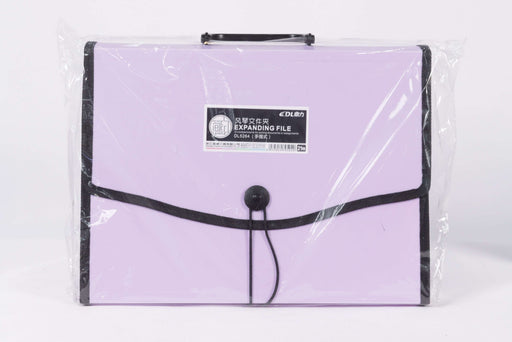 File Bag 21 slots DL5264 / 12746097