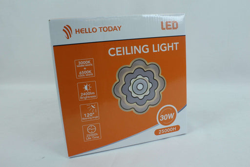 CW404 / Ceiling Light / 30W