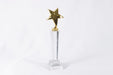 Glass Trophy / 14010062 - Besco Hyper
