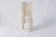 Reed Diffuser / XS-54 - Besco Hyper